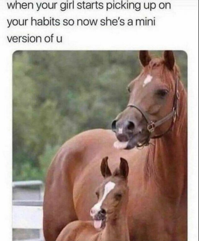 Funny Memes (47 pics)