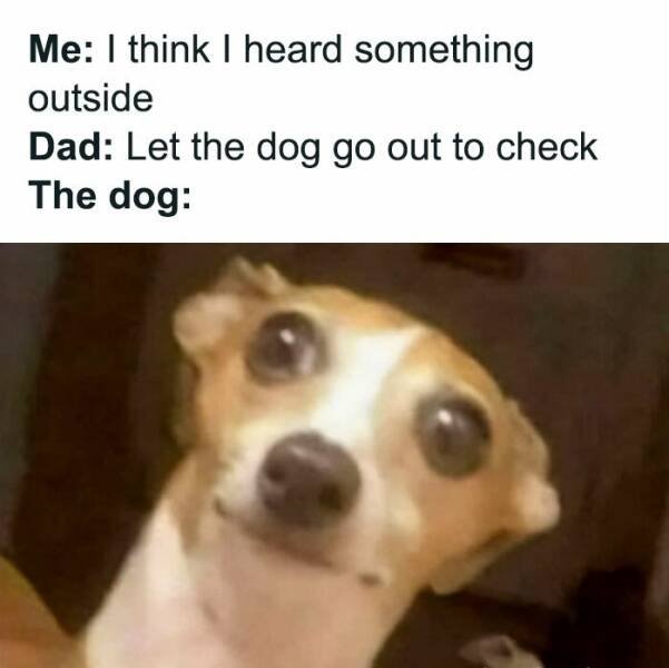 Funny Memes (47 pics)