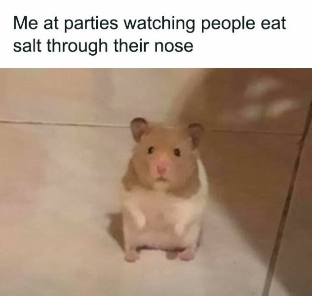 Funny Memes (47 pics)