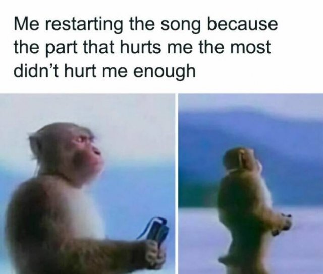 Funny Memes (47 pics)