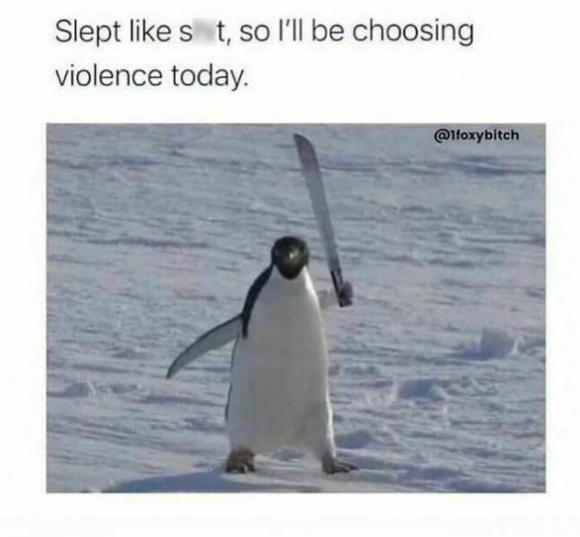 Funny Memes (47 pics)