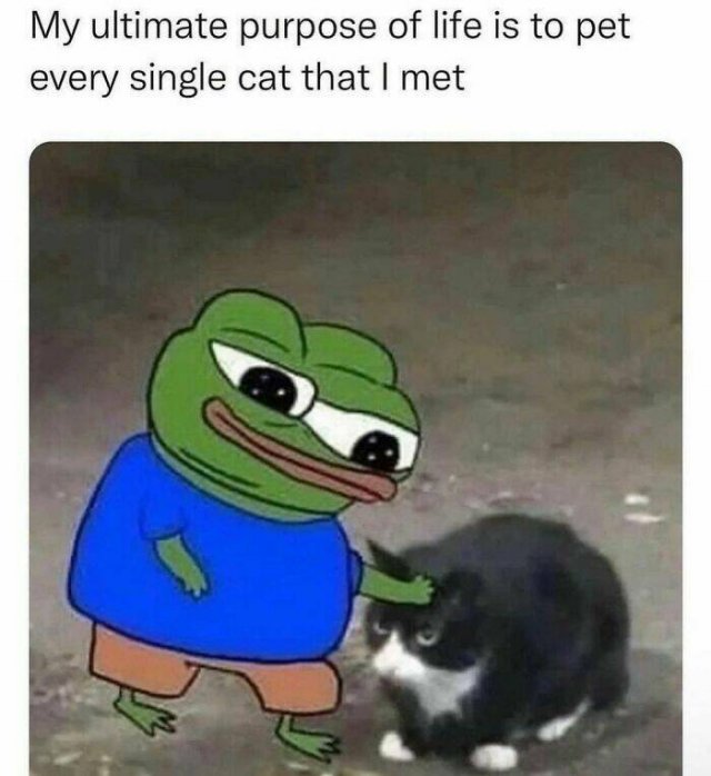 Funny Memes (47 pics)