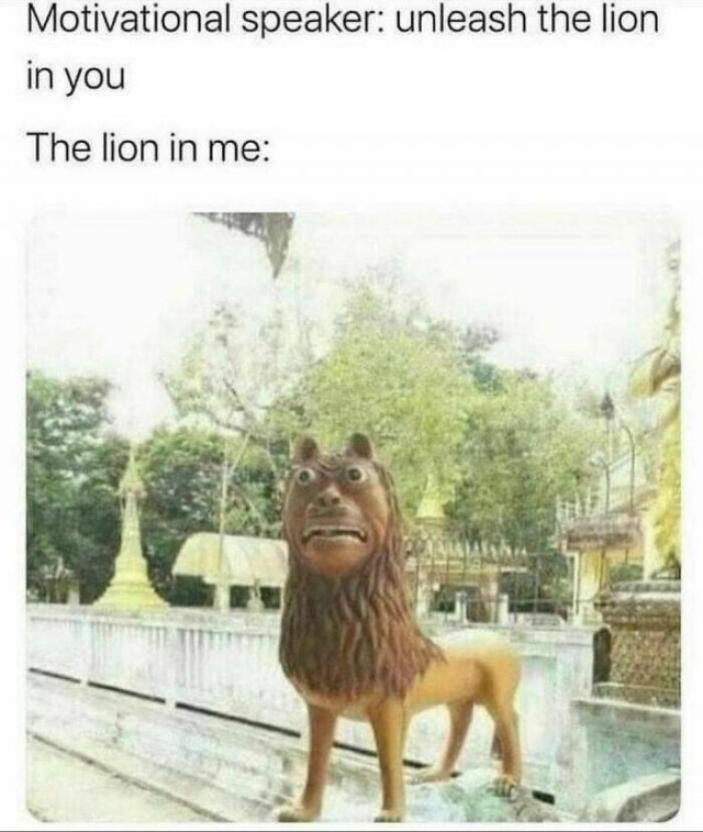 Funny Memes (47 pics)