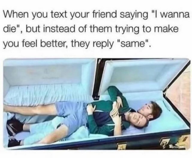 Funny Memes (47 pics)