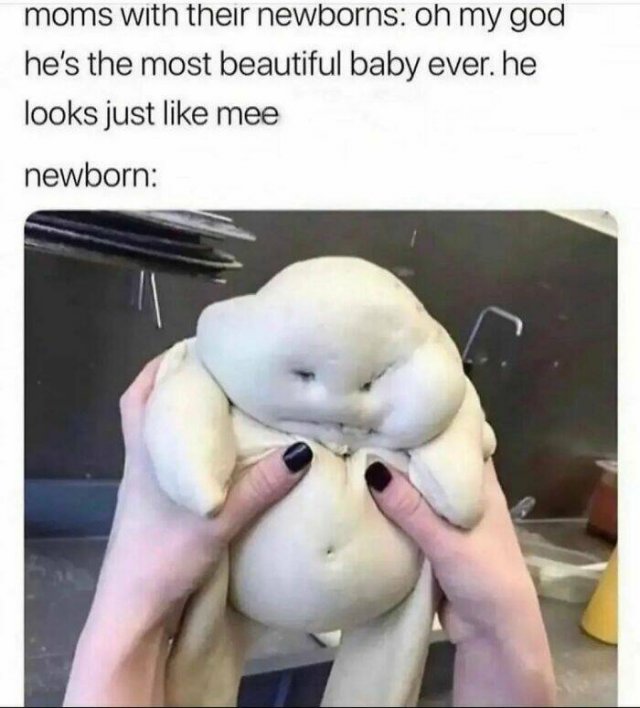 Funny Memes (47 pics)