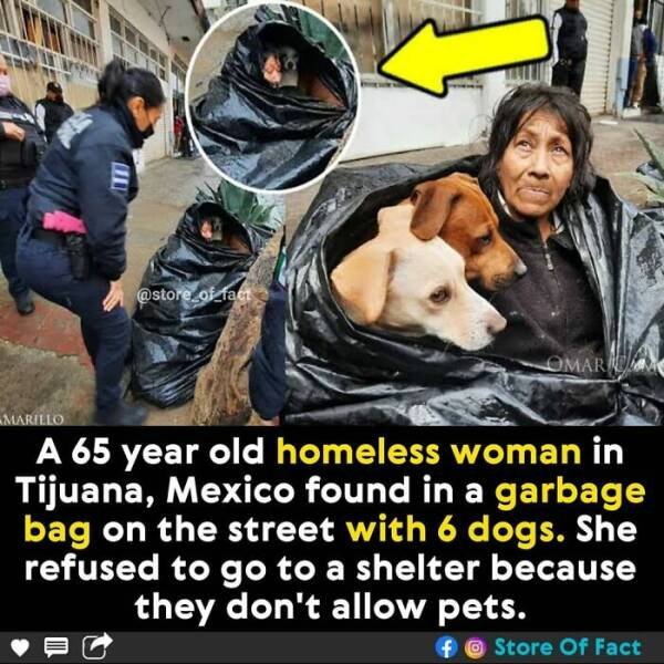 Interesting Facts (44 pics)