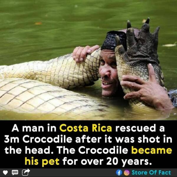 Interesting Facts (44 pics)