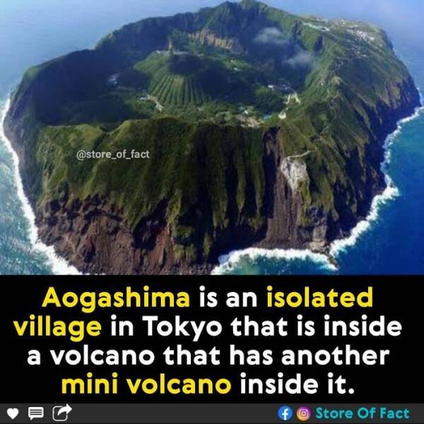 Interesting Facts (44 pics)