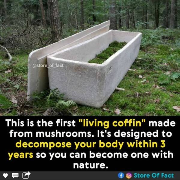Interesting Facts (44 pics)