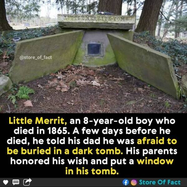 Interesting Facts (44 pics)