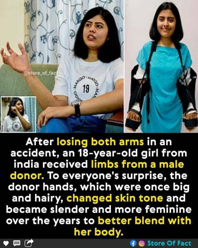 Interesting Facts (44 pics)