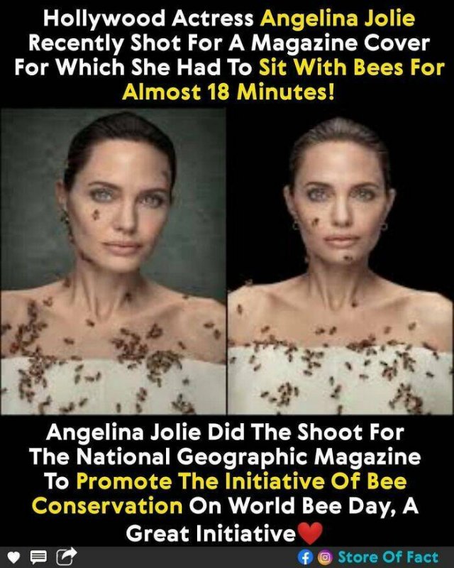 Interesting Facts (44 pics)