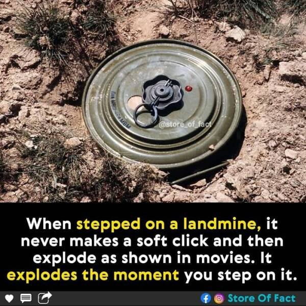 Interesting Facts (44 pics)