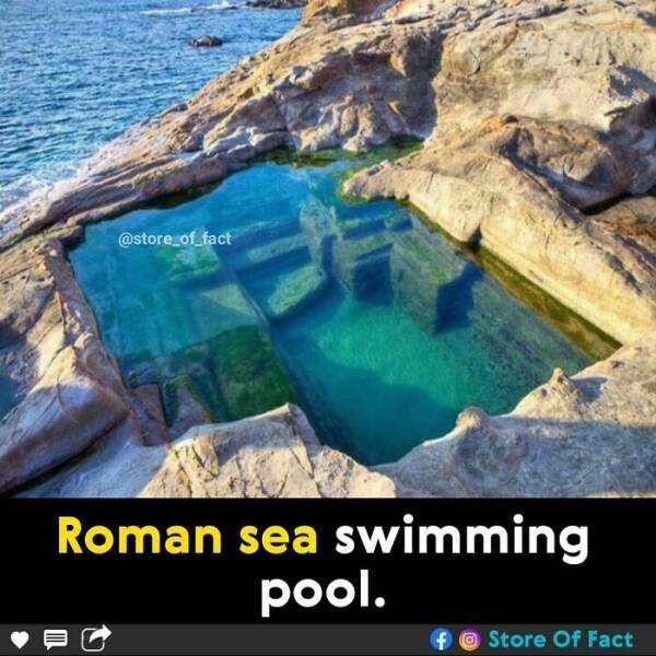 Interesting Facts (44 pics)