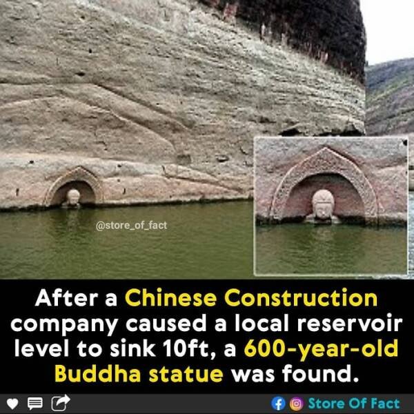Interesting Facts (44 pics)