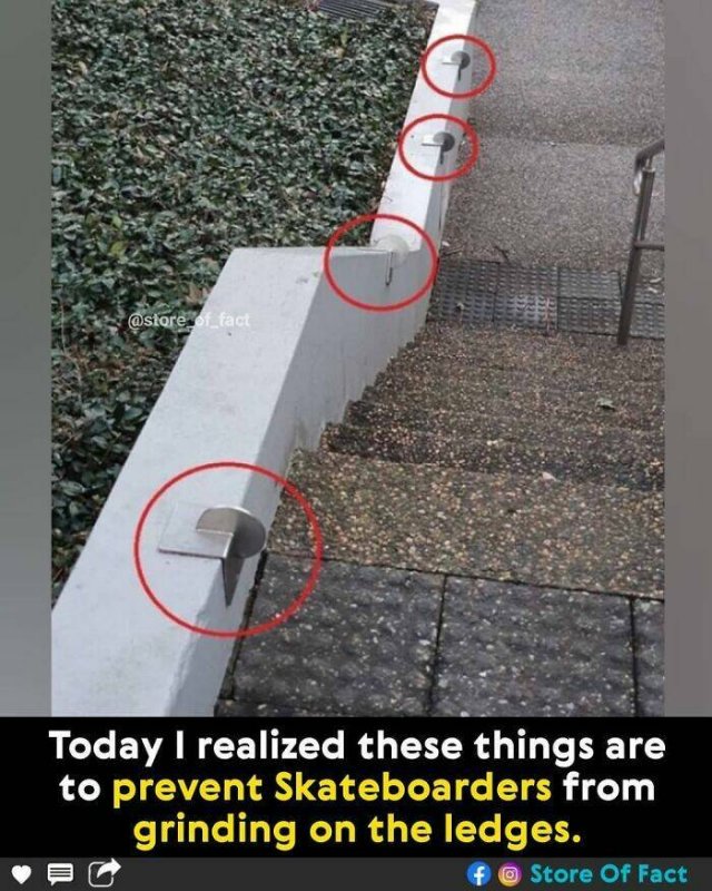 Interesting Facts (44 pics)