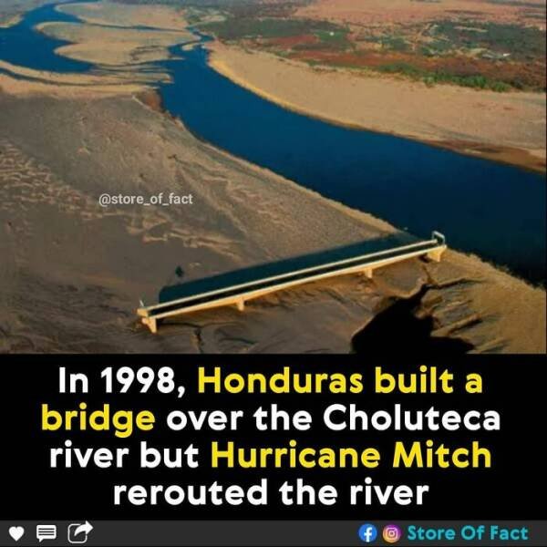 Interesting Facts (44 pics)