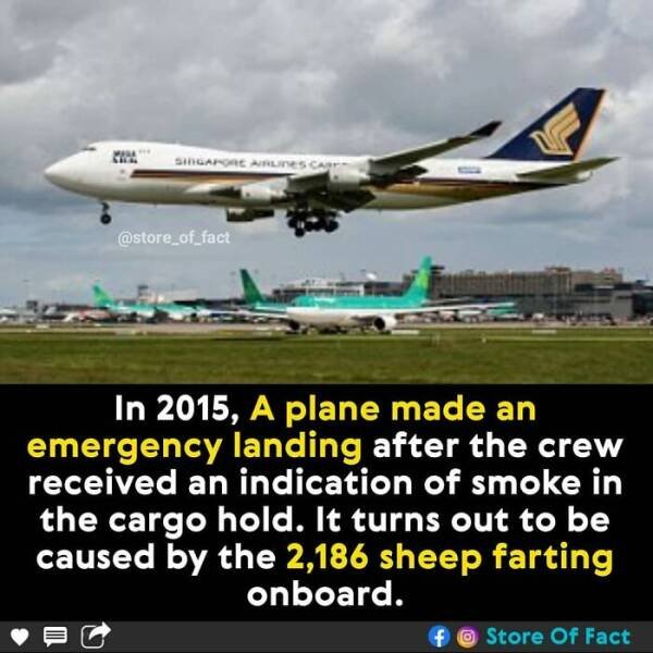 Interesting Facts (44 pics)