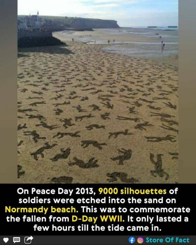 Interesting Facts (44 pics)
