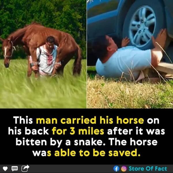Interesting Facts (44 pics)