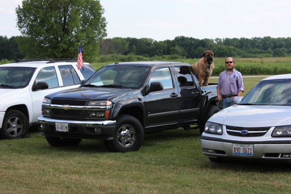 Very Big Dogs (30 pics)