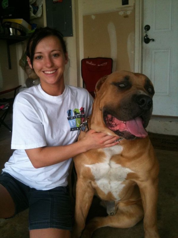 Very Big Dogs (30 pics)
