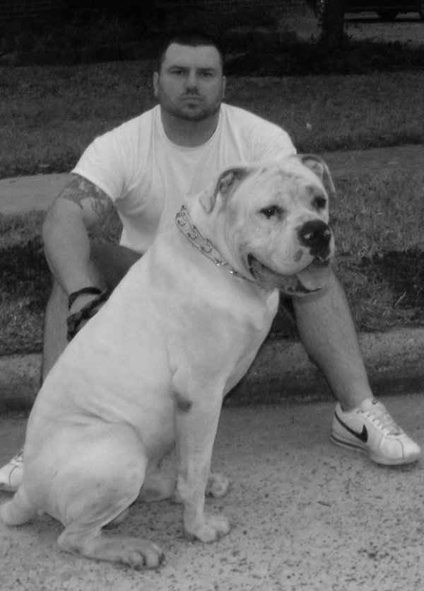Very Big Dogs (30 pics)