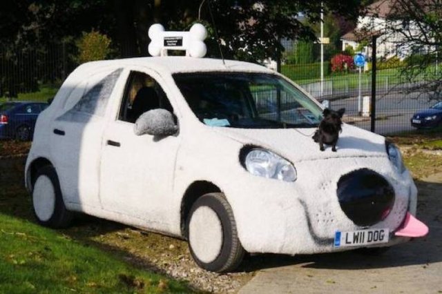 Crazy Cars (53 pics)