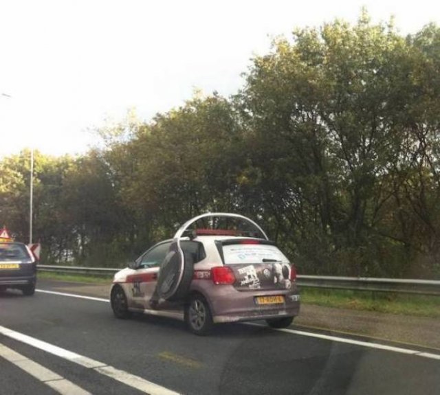 Crazy Cars (53 pics)