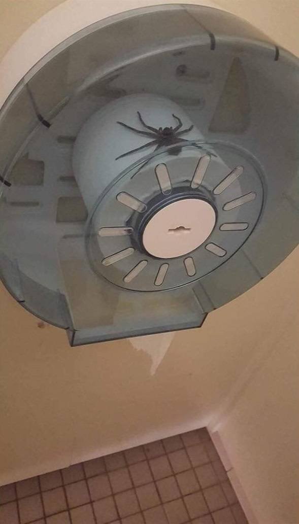 Creepy Finds And Situations (49 pics) Creepy Finds And Situations (49 pics)