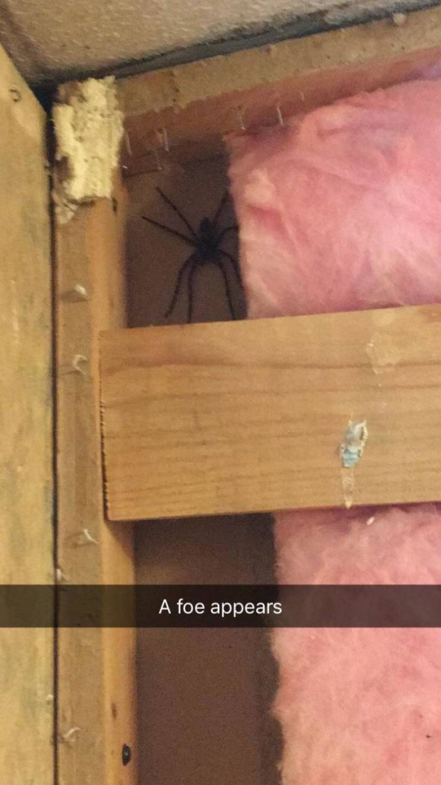 Creepy Finds And Situations (49 pics) Creepy Finds And Situations (49 pics)