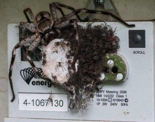 Creepy Finds And Situations (49 pics) Creepy Finds And Situations (49 pics)