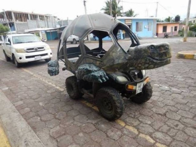 Crazy Cars (53 pics)