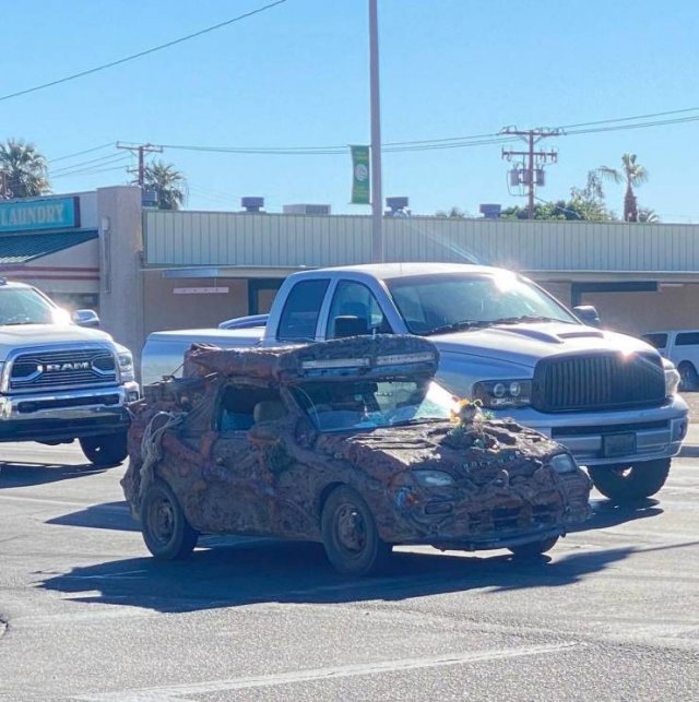 Crazy Cars (53 pics)