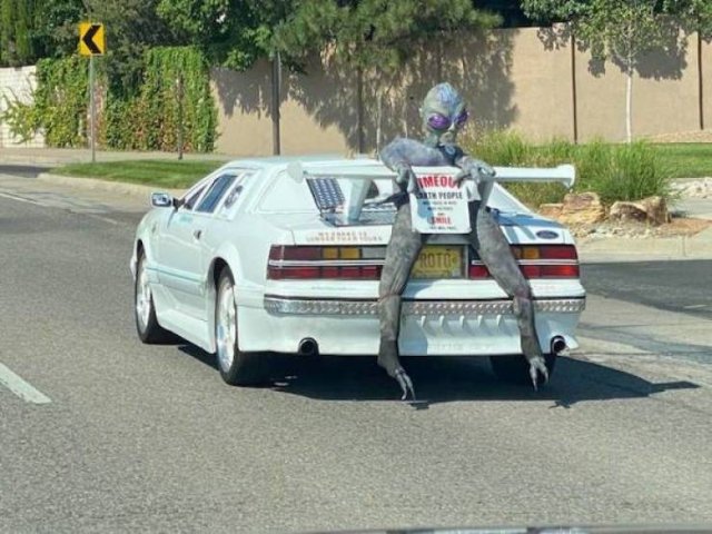 Crazy Cars (53 pics)