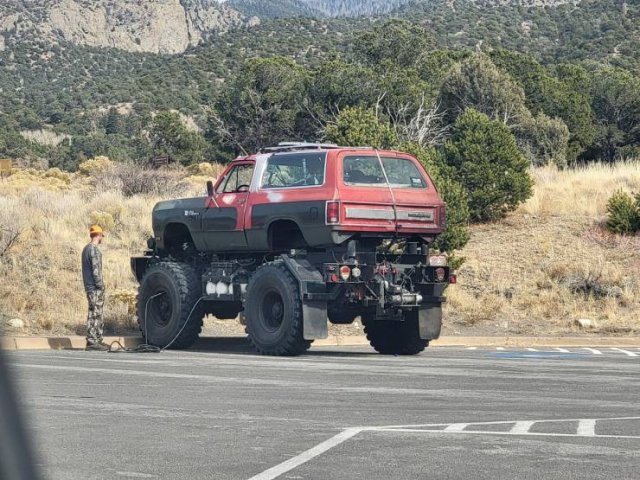 Crazy Cars (53 pics)