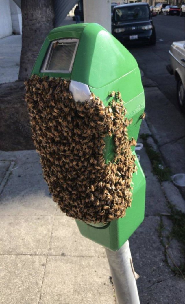 Creepy Finds And Situations (49 pics) Creepy Finds And Situations (49 pics)