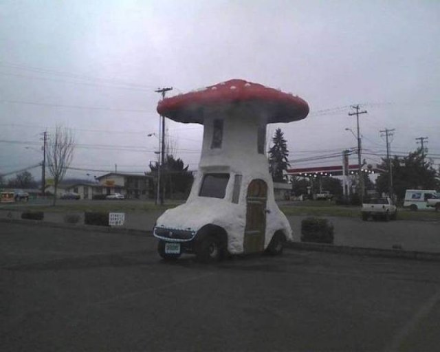 Crazy Cars (53 pics)