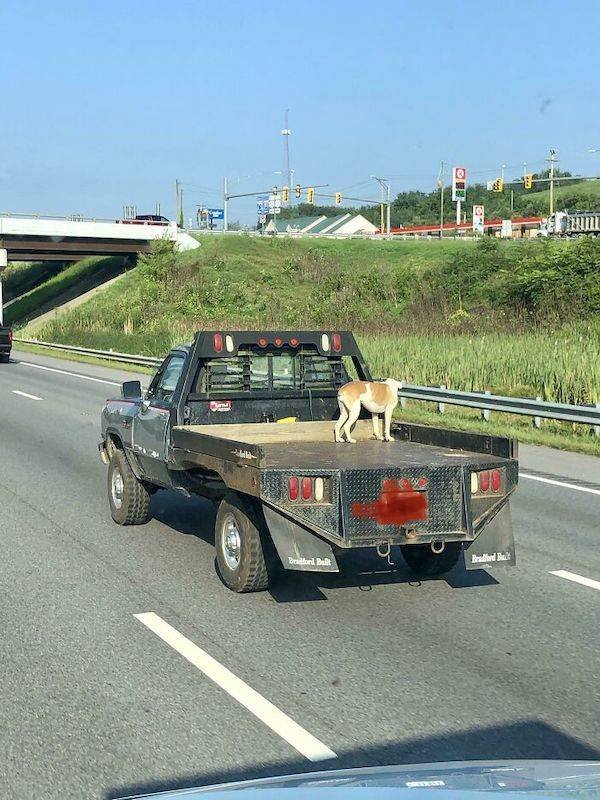 Bad Drivers (28 pics)