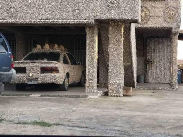 Crazy Cars (53 pics)