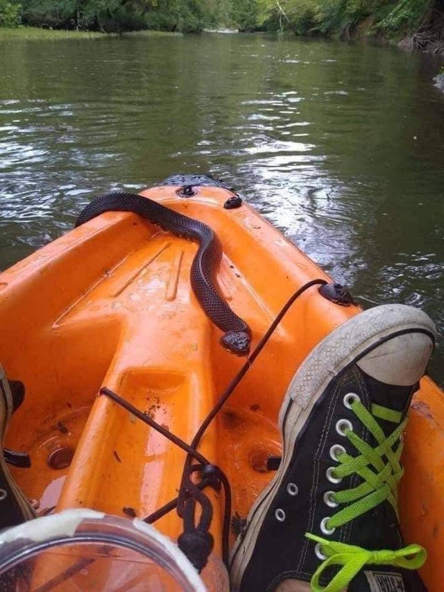 Creepy Finds And Situations (49 pics) Creepy Finds And Situations (49 pics)