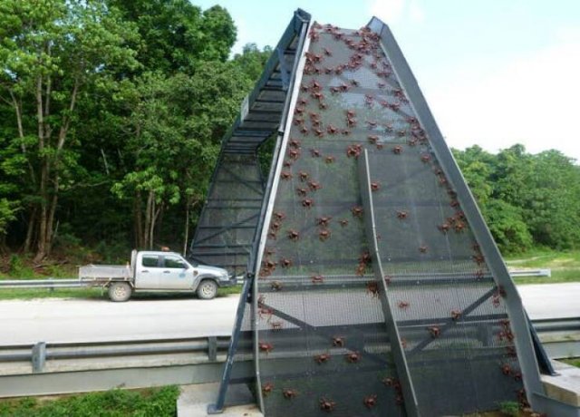 Unusual Photos And Finds From Around The World (37 pics)
