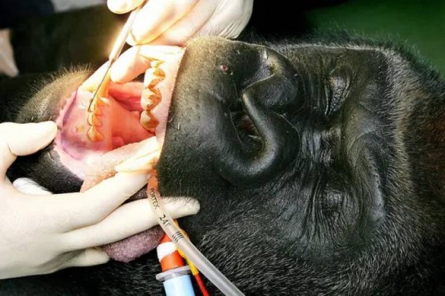 Unusual Photos And Finds From Around The World (37 pics)