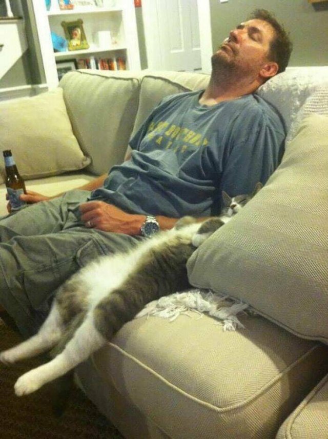Cute Cats (44 pics)