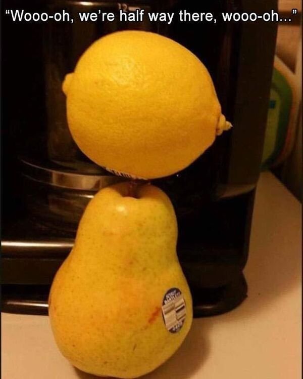 Interesting Ideas (37 pics)