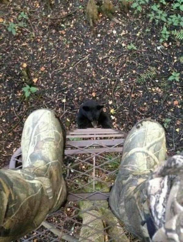 Creepy Finds (40 pics)