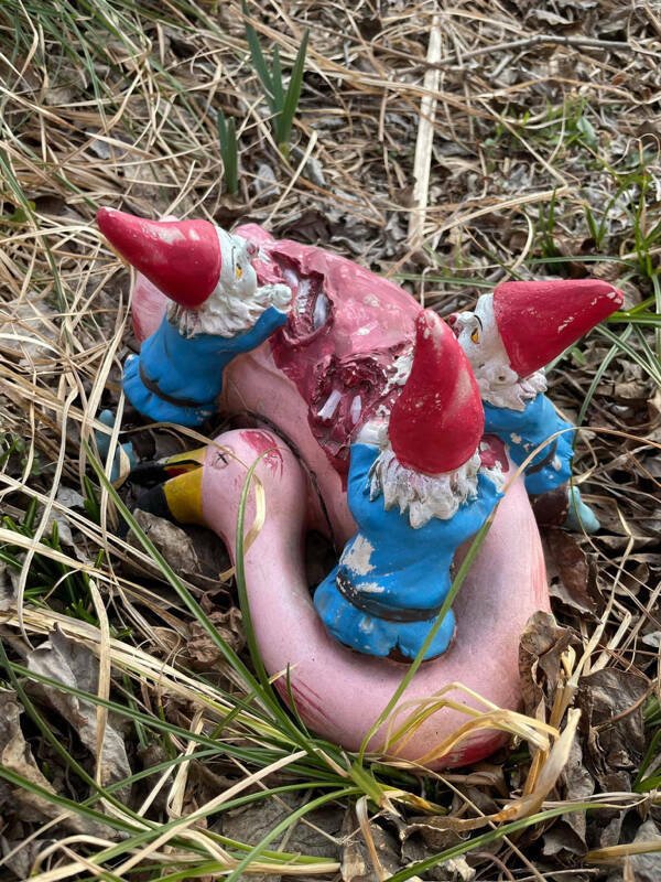 Strange Things (48 pics)