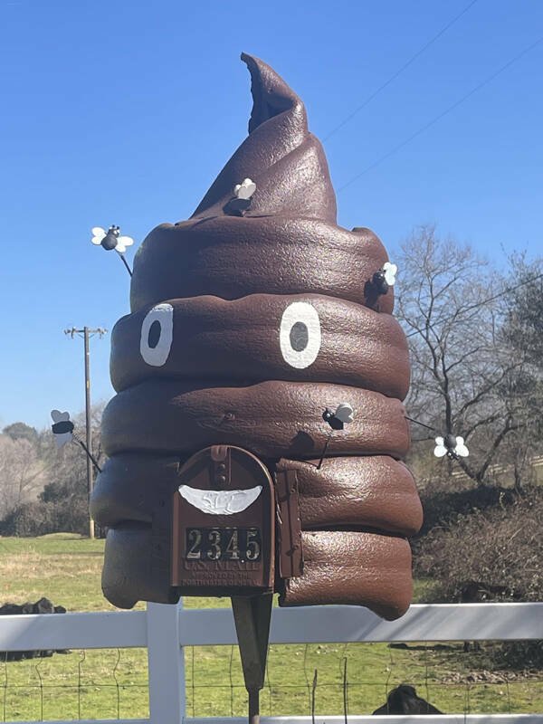 Strange Things (48 pics)