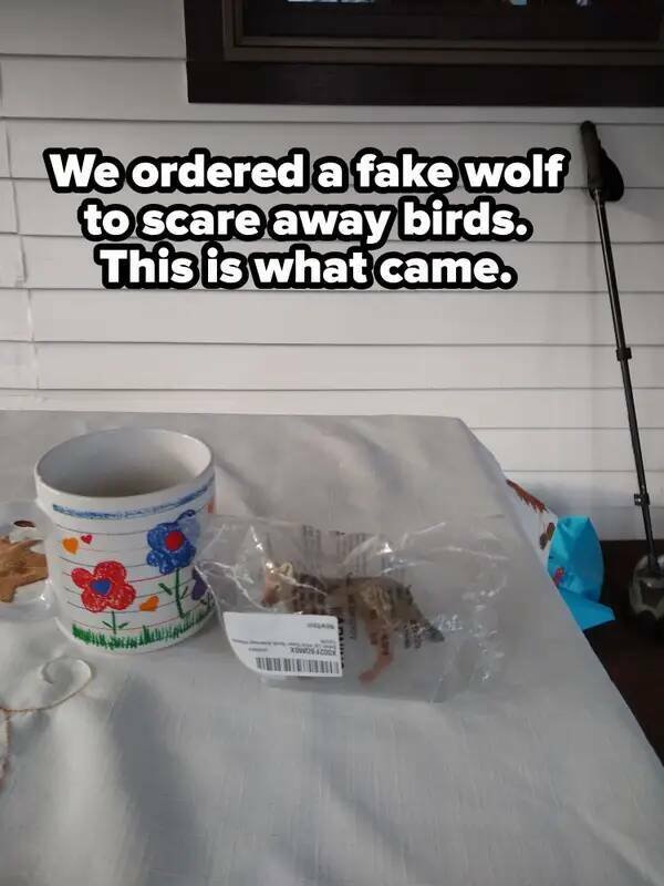 Failed Online Shopping (26 pics)