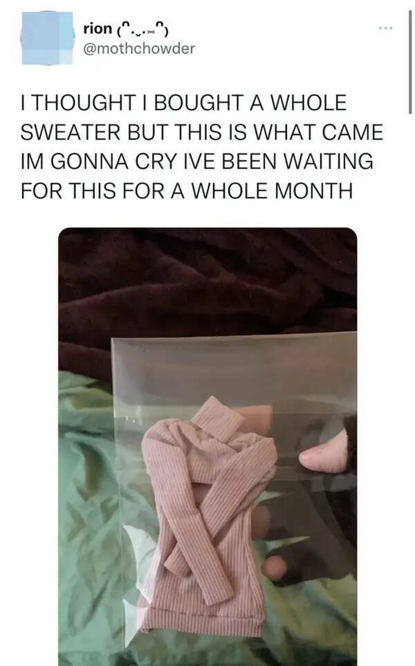 Failed Online Shopping (26 pics)